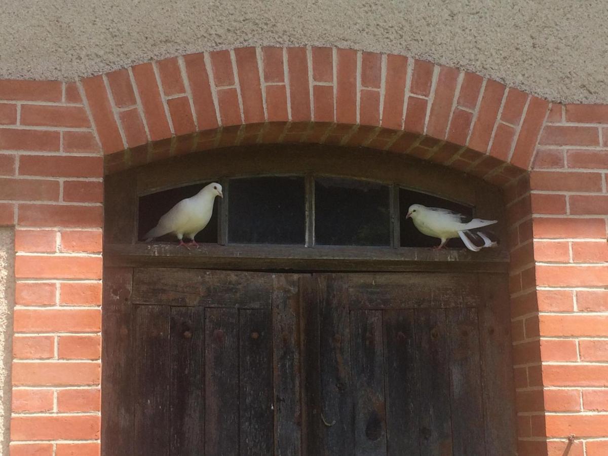 Maison De Vacances Cronat - Au Bord De L'Eurovelo 6 Екстер'єр фото